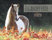 Islandpferde 2023 - Cover