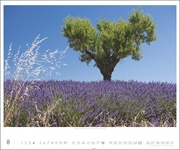Provence 2024 - Abbildung 8
