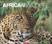 African Wildlife 2024