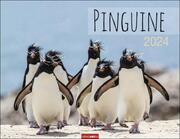 Pinguine 2024 - Cover