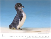 Pinguine 2024 - Abbildung 3