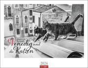 Venedig und die Katzen 2024 - Cover
