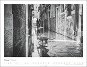 Venedig und die Katzen 2024 - Illustrationen 2