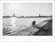 Venedig und die Katzen 2024 - Illustrationen 7