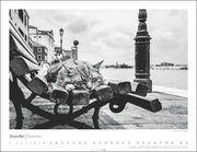 Venedig und die Katzen 2024 - Illustrationen 12