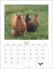 Der Hühnerkalender 2024 - Abbildung 7
