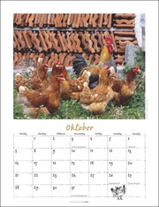 Der Hühnerkalender 2024 - Abbildung 10