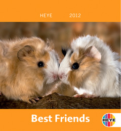 Best Friends: Meerschweinchen 2012