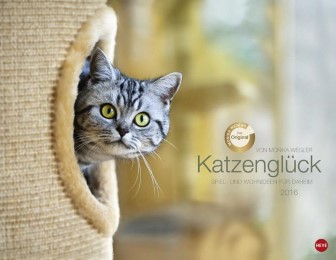 Katzenglück 2016 - Cover
