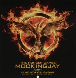 The Hunger Games: Mockingjay 1 2015