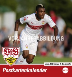 VfB Stuttgart 2017