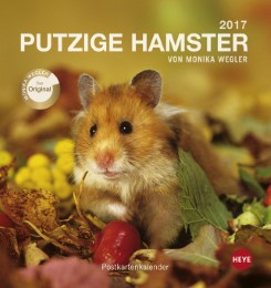 Putzige Hamster 2017