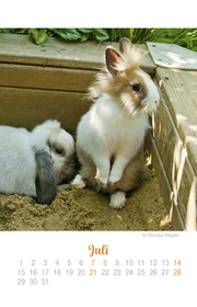 Mini Kaninchen Ich hab dich lieb! - Kalender 2019 - Abbildung 7