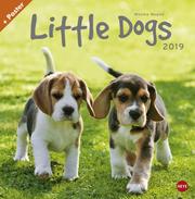 Little Dogs - Kalender 2019