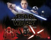 Star Wars - Der Aufstieg Skywalkers 2020