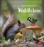 Märchenhaftes Waldleben - Postkartenkalender 2020