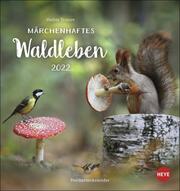 Märchenhaftes Waldleben Postkartenkalender 2022