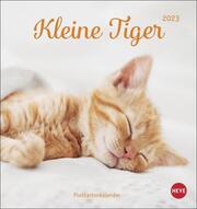Kleine Tiger Postkartenkalender 2023