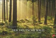 Der deutsche Wald - Ein literarischer Spaziergang 2023