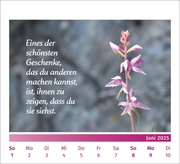 PAL - Der Lebensfreude Tischkalender 2025 - Abbildung 6