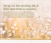 PAL - Der Lebensfreude-Inspirationen-Kalender 2025 - Illustrationen 7