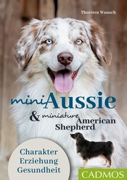 Mini Aussie & Miniature American Shepherd