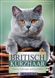 Britisch Kurzhaar - Cover