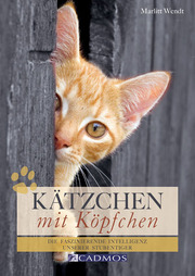 Kätzchen mit Köpfchen - Cover