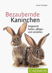 Bezaubernde Kaninchen - Cover