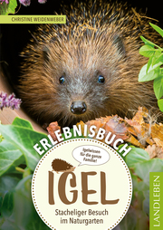 Erlebnisbuch Igel - Cover