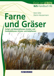 Farne und Gräser - Cover