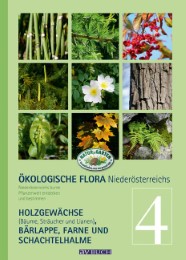 Ökologische Flora Niederösterreichs 4 - Cover