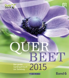 Querbeet 2015, Band 6 - Cover