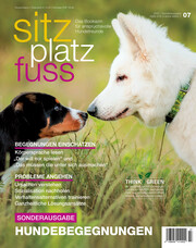 SitzPlatzFuss, Sonderausgabe VII November 22 - Cover