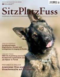 SitzPlatzFuss, Ausgabe 4 - Cover