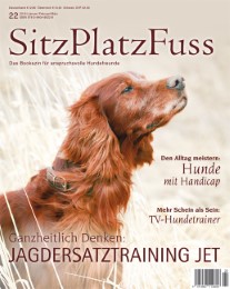 SitzPlatzFuss 22 - Cover