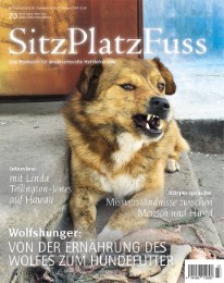 SitzPlatzFuss 23 - Cover