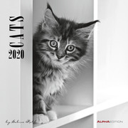 Cats 2020 - Cover