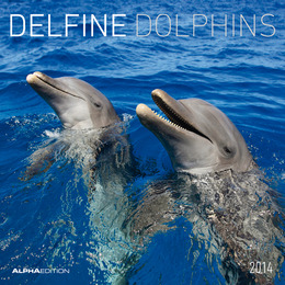 Delfine 2014