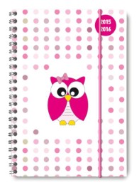 Pink Owl 2015/2016