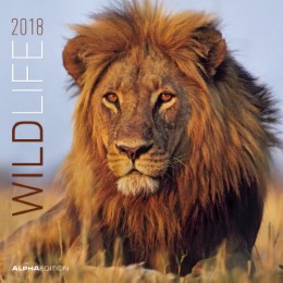 Wildlife 2018 - Cover