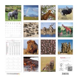 Wildlife 2018 - Abbildung 13