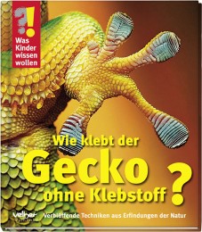 Wie klebt der Gecko ohne Klebstoff?