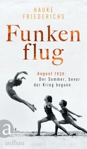 Funkenflug - Cover