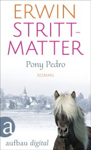 Pony Pedro - Cover