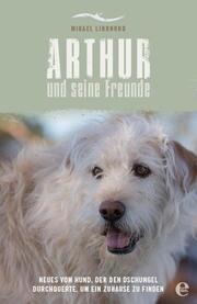 Arthur und seine Freunde - Cover