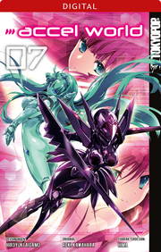 Accel World 07 - Cover