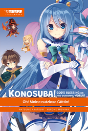 Konosuba! God's Blessing On This Wonderful World! Light Novel 1 - Cover