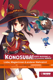 Konosuba! God's Blessing On This Wonderful World! Light Novel 2 - Cover