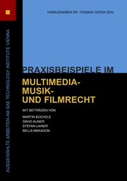 Praxisbeispiele im Multimedia-, Musik- und Filmrecht